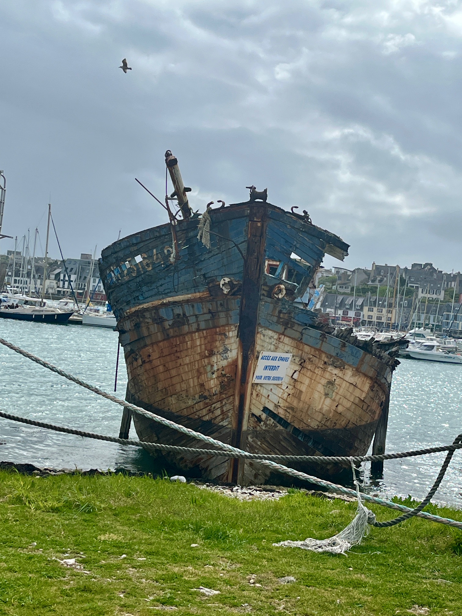 Camaret demie proue